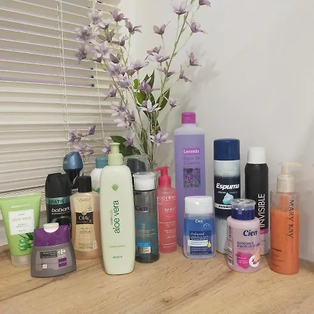 公寓 Playa Monis 2